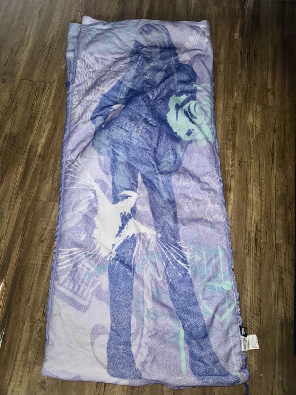 Hannah Montana Disney Miley Cyrus Archives vintage Y2K 2008 sleeping Bag